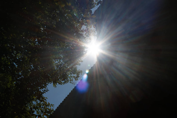 Солнечные лучи льются сквозь деревья в осеннем лесу
 - Фото, изображение