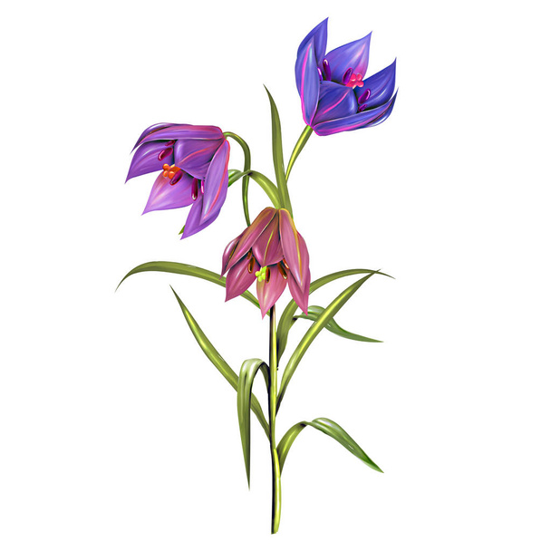 Квіти сповнені романтики, дизайн мистецтва листя та квітів
 - Фото, зображення