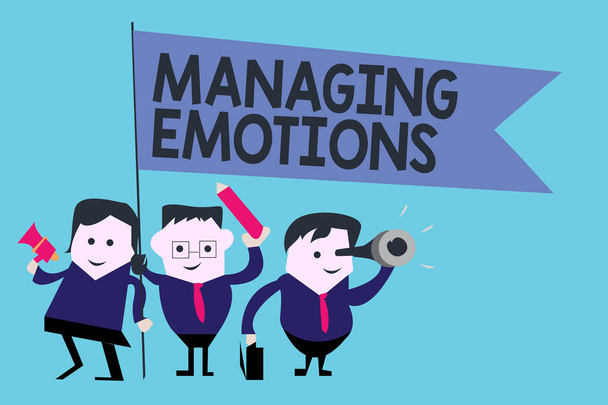 Εννοιολογική γραφή χεριών που δείχνει Διαχείριση Συναισθημάτων. Business photo text Έλεγχος συναισθημάτων στον εαυτό σας Διατηρήστε ψυχραιμία - Φωτογραφία, εικόνα