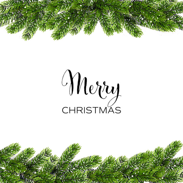 Christmas background with green Pine Branches. Vector - Vector, imagen