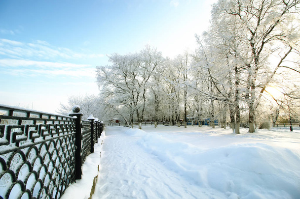 hek overdekte sneeuw winter park  - Foto, afbeelding