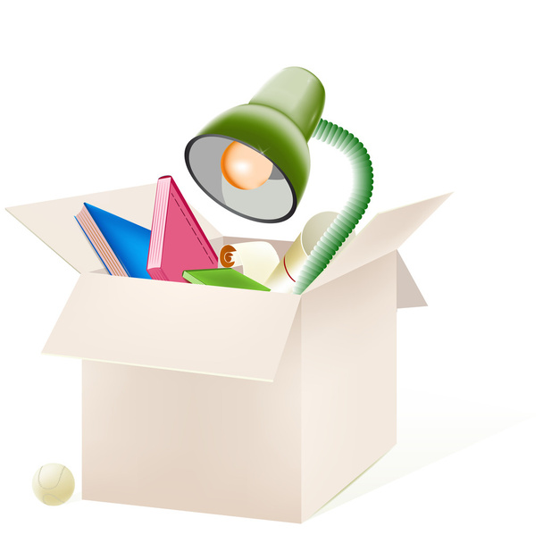Cardboard box with things, vector - Vector, Image