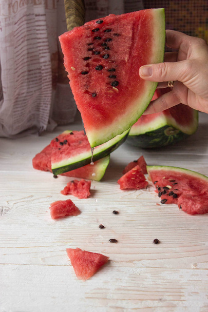 Slices of watrrmelon on plant - Photo, Image