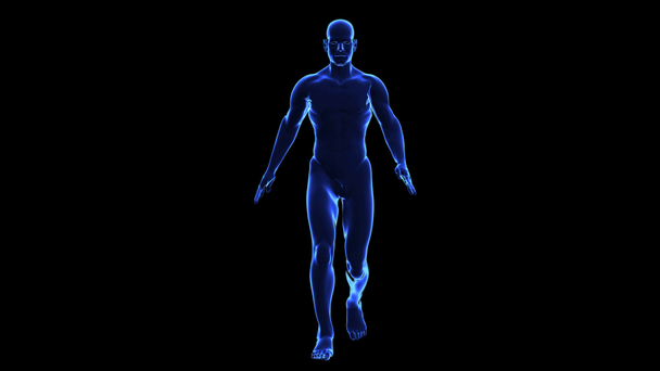 Anatomie van het menselijk lichaam: huid - Video