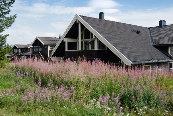 TRYSIL, NORWAY - 26 JULY 2018: violet lupine flowers and black living houses at largest ski resort Trysil in Norway  - Photo, image