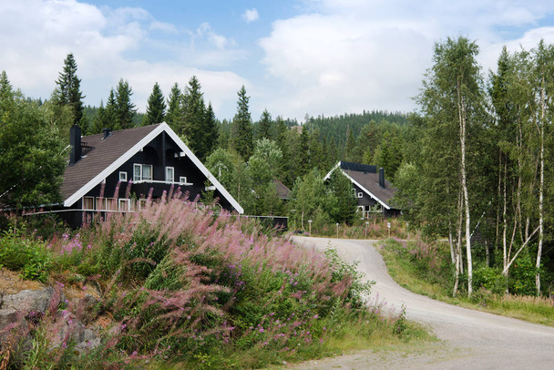 TRYSIL, NORWAY - 26 JULY 2018: black living houses near forest at largest ski resort Trysil in Norway - Fotografie, Obrázek