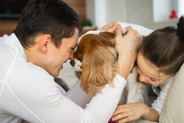 Father and son having a good time with dog at sofa in the morning. The cavalier king Charles Spaniel playing at home. - Photo, Image