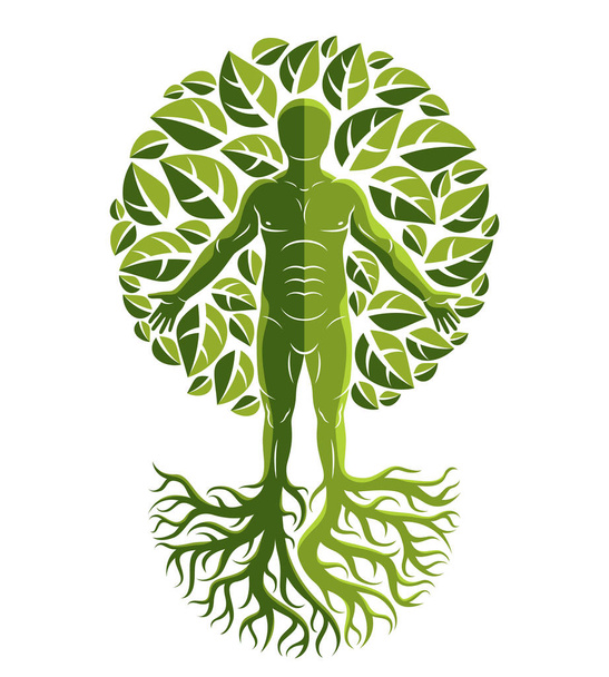 Mann als Baum mit starken Wurzeln und umgeben von grünen Blättern - Vektor, Bild