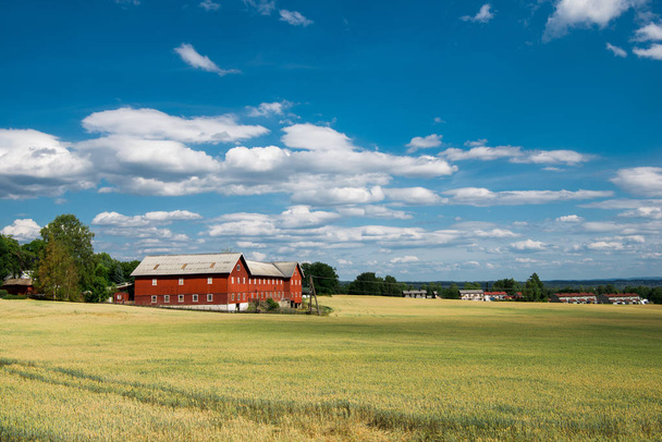 vidéki táj-val mező, és a házak alatt kék ég, Hamar, Hedmark, Norvégia - Fotó, kép
