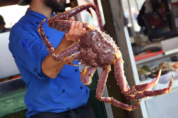 Cook drží velké krab - Fotografie, Obrázek