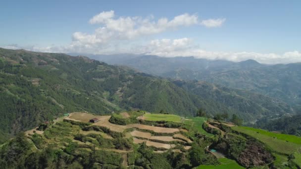 Filipinler 'de bir dağ ilinde tarım arazisi, Luzon - Video, Çekim