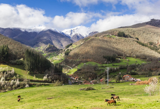 Caballos en el paisaje montañoso de los Picos de Europa, España
 - Foto, Imagen