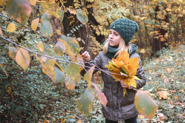 秋の森。秋の公園。秋の気分。秋の花束を持つ少女を葉します。 - 写真・画像