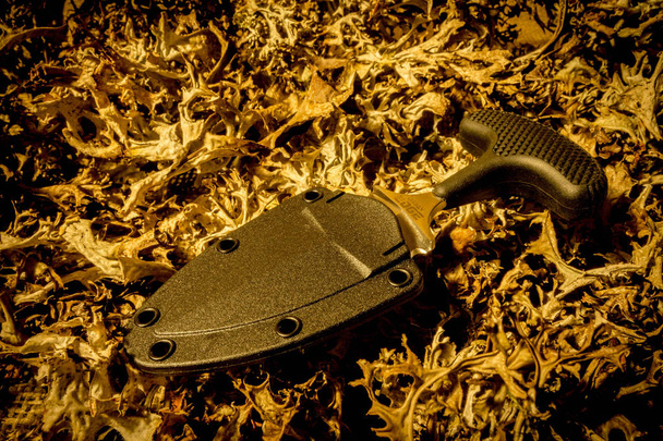Αστική μαχαίρι σε περίπτωση σε ξερά χόρτα. Ζεστή θερμοκρασία. - Φωτογραφία, εικόνα