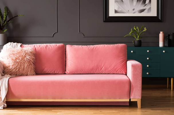 Розовый диван с подушками в сером интерьере гостиной с плакатом над зеленым шкафом с растением. Настоящее фото
 - Фото, изображение