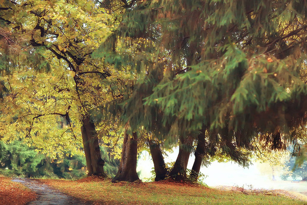 beautiful autumn landscape. Yellow trees in autumn park, bright orange forest - Foto, immagini