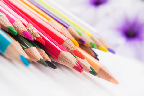 Colored slate pencils. Set of multicolored pencils on flower background. Angle view  - Foto, afbeelding