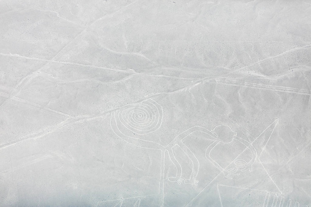 Таємничі фігури Наска пустеля з літака
 - Фото, зображення