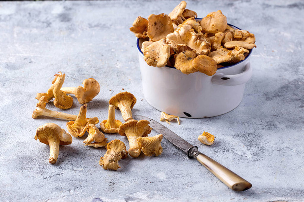 Hand picked chanterelle mushrooms with a knife.  - Photo, Image