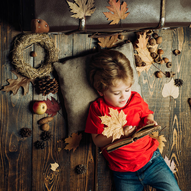 Cute little child boy holding gold leaf on wooden background. Autumn mood. Little child boy lies on a warm blanket dreams of warm autumn. - Photo, image