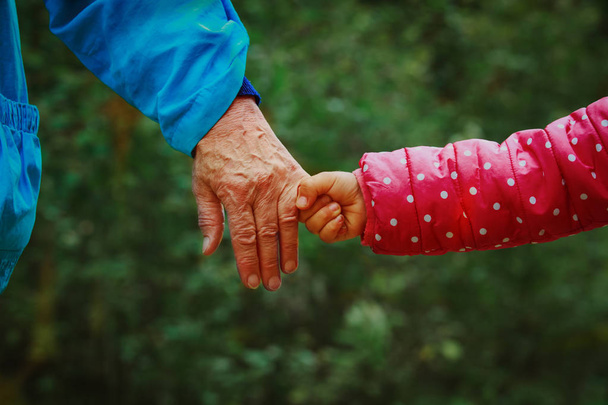 自然の中の孫の手を握っての祖母 - 写真・画像