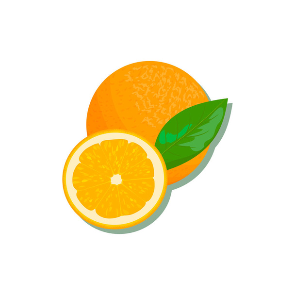 Zitrusfrüchte - Orange, Zitrone, Limette, Bergamotte, Mandarine, Grapefruit mit Blättern. Vektorsatz aus ganzen Früchten und Scheiben. für Design, Poster, Tags, Drucke, textile Parfumaromatherapie - Vektor, Bild