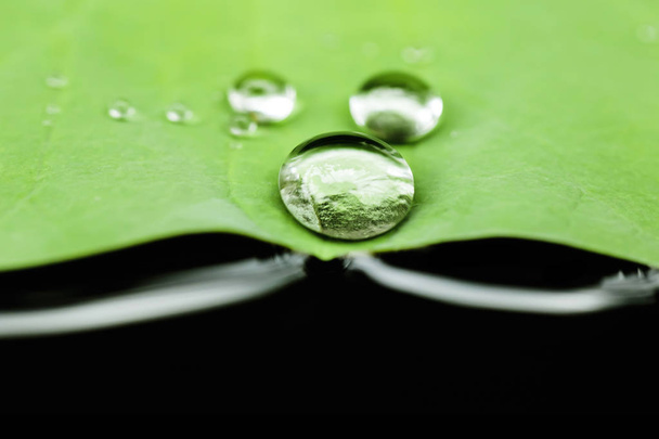 Yeşil yaprak ve su damlaları  - Fotoğraf, Görsel