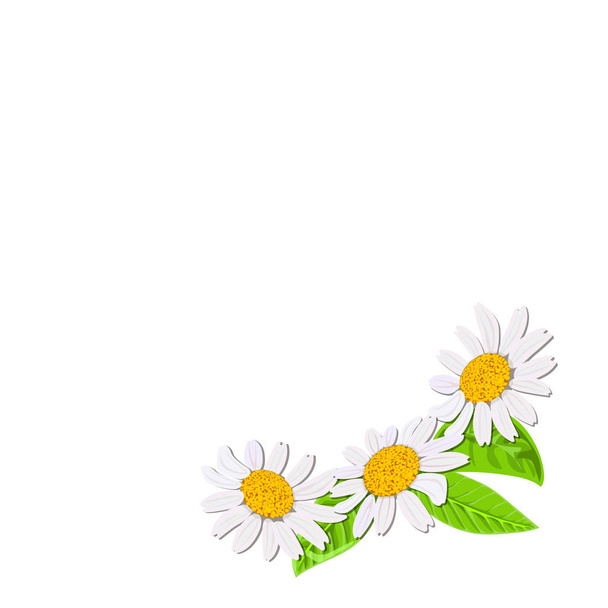 Hello spring. Beautiful Daisy wreath isolated. Elegant floral chamomile flowers collection. Frame, text. Vector flowers set. Design for invitation, wedding or greeting cards, cosmetics, perfumery - Vecteur, image