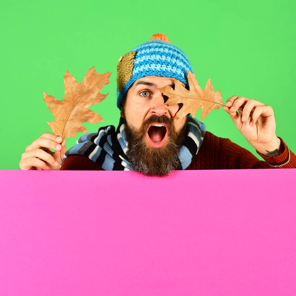 Hipster with beard and surprised face wears warm clothes - Foto, immagini