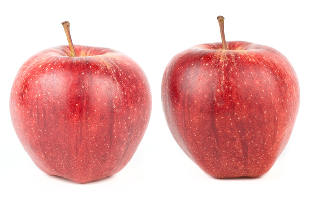 Two apples - Фото, зображення