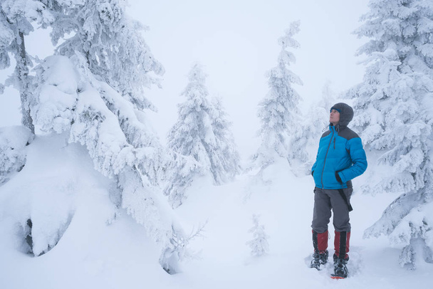 Senderismo en un bosque nevado en invierno. Guy turista en la chaqueta disfruta de la hermosa naturaleza
 - Foto, Imagen