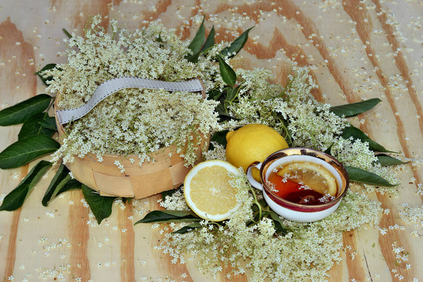 Tè di sambuco su sfondo di legno e fiore fresco
 - Foto, immagini