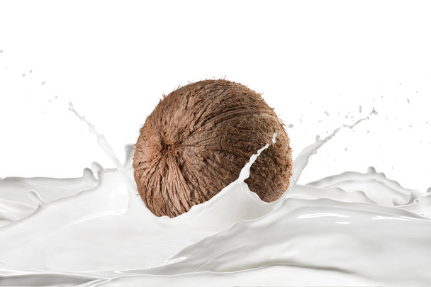 fresh coconut and milk with splashes on white background - Fotoğraf, Görsel
