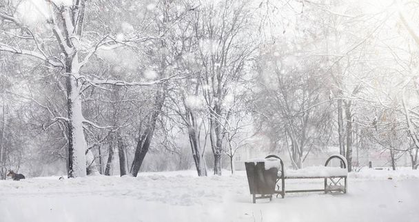 Заснеженный зимний парк и скамейки. Парк и пирс для кормления
  - Фото, изображение