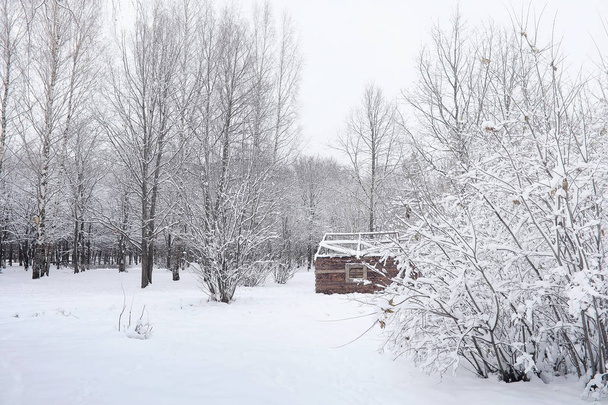 Lumen peittämä talvipuisto ja penkit. Puisto ja laituri ruokintaan
  - Valokuva, kuva