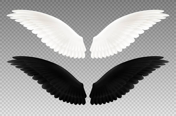 Black And White Wings Transparent Set - Vector, Image