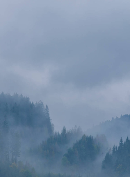 Le paysage des montagnes des Carpates pendant la brume à l'automne
 - Photo, image