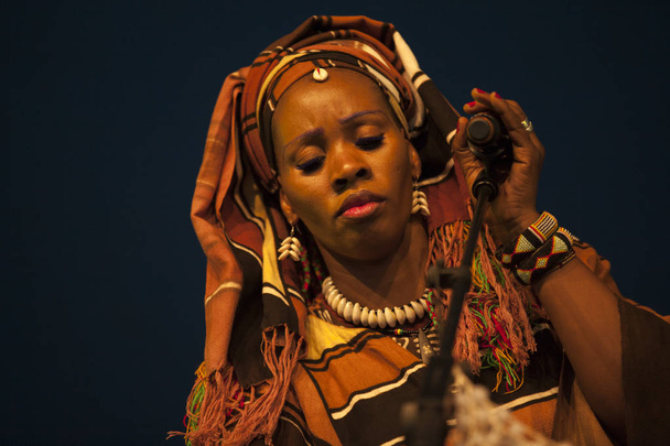 Amsterdam, Nederland-juli 5 2015: concert van Haïtiaanse band The Chouk bwa libete; tijdens Amsterdam Roots Open Air, een cultureel festival gehouden in park Frankendael op 05/07/2015 - Foto, afbeelding