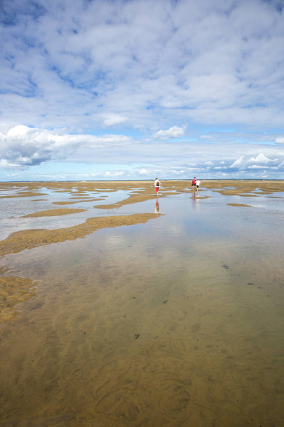 paisagem marítima à beira-mar com água, banco de areia e nuvem branca, estuário de garonne perto de Royan, França
 - Foto, Imagem