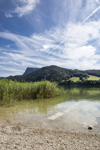 paisagem de verão de Brenet lago perto de Le pont, cantão de Vaud, Suíça
 - Foto, Imagem
