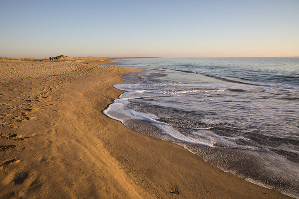 вид на пляж на закате с золотым песком и тихим морем
 - Фото, изображение