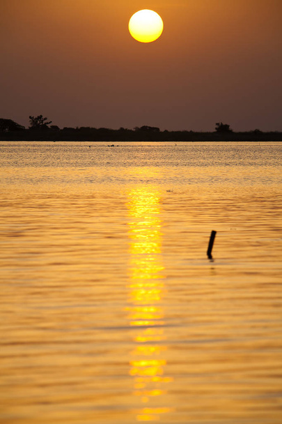 Захід сонця в дельті Сін Салум (Сенегал). - Фото, зображення