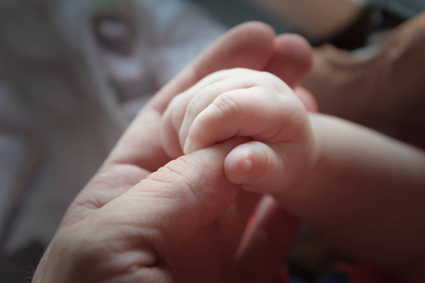 infant child holding finger grip adult parent - Фото, изображение