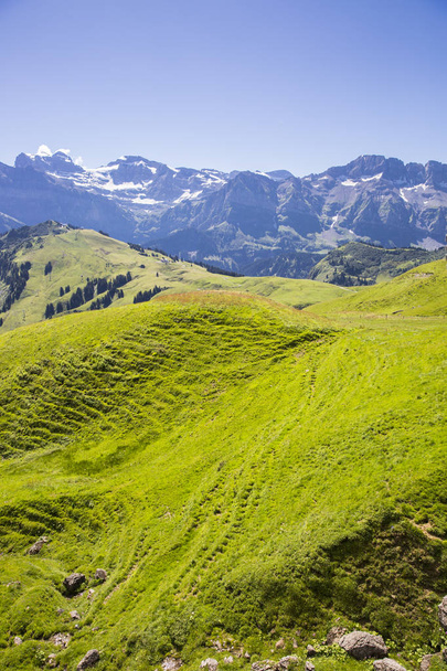 Bucolic zielone lato alpejski krajobraz, Alpy Szwajcarskie masyw górski, Canton du Valais, Szwajcaria - Zdjęcie, obraz