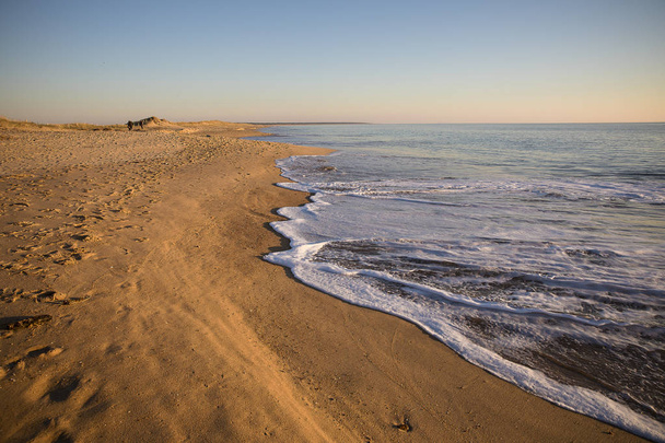 vista sobre una playa al atardecer con arena dorada y mar tranquilo
 - Foto, Imagen