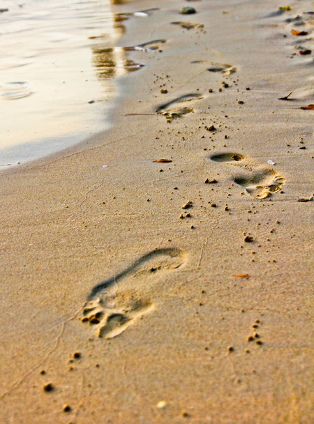 jalanjälkiä hiekassa, kaunis hiekkainen trooppinen ranta
  - Valokuva, kuva