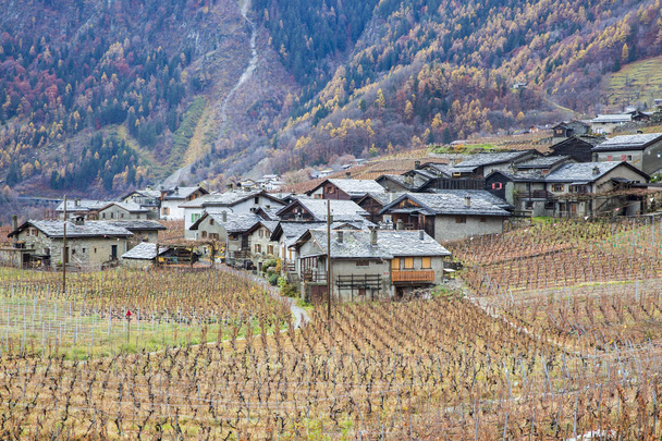 podzimní švýcarská horská krajina s vesnicí uprostřed vinice - Fotografie, Obrázek