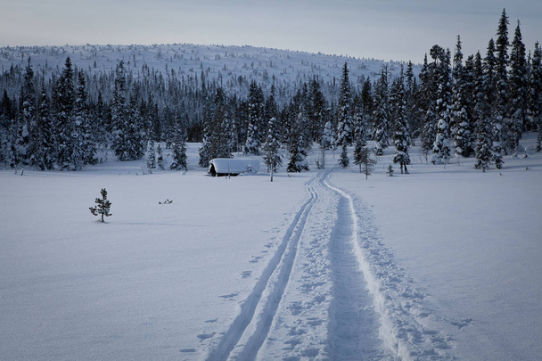 Winter Finnish snowy lanscape - Valokuva, kuva