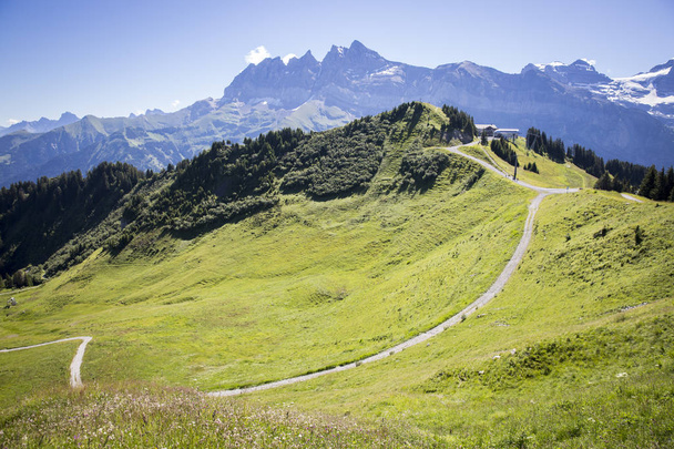 Paisagem alpina verde no verão, vista sobre o maciço montanhoso dos Alpes Suíços, Canton du Valais, Suíça
 - Foto, Imagem