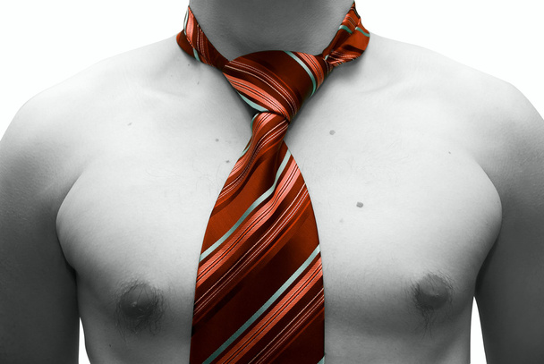 boynuna kravat - Fotoğraf, Görsel